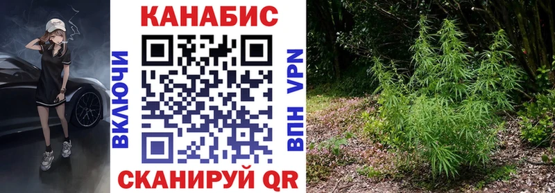 МАРИХУАНА гибрид  Лагань 